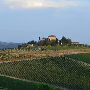 Damario Panorama , Panzano in Chianti Italien